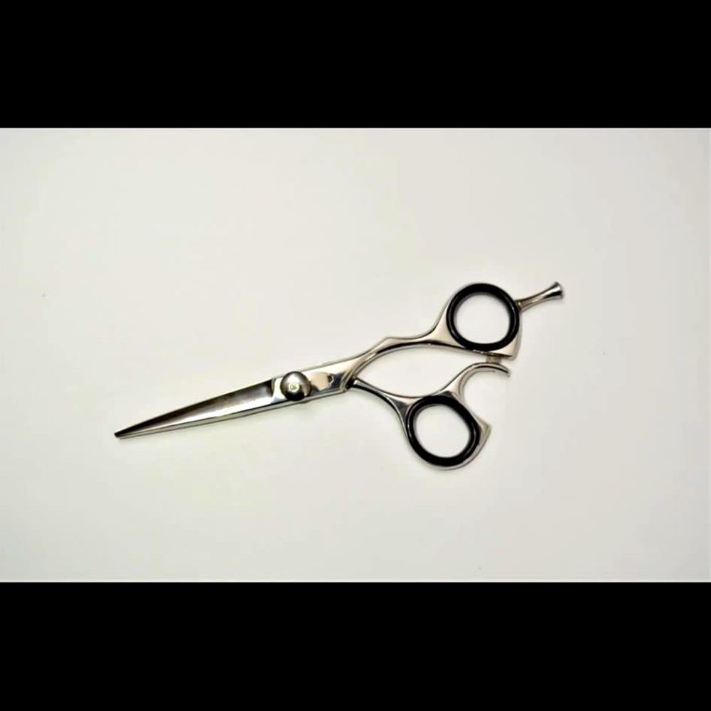 Professional shears